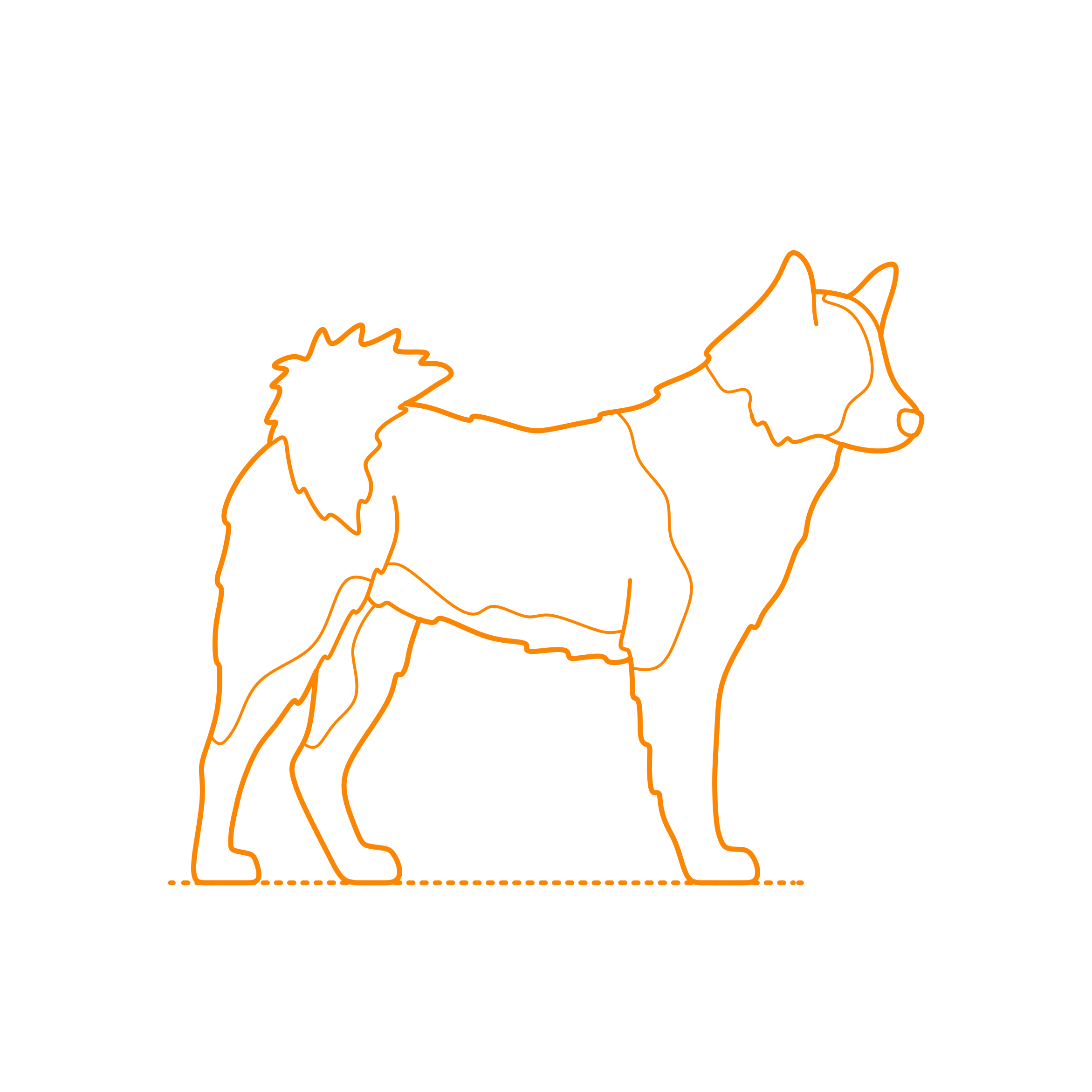Animals Dogs Karelian Bear Dog Sketch Style Svg Vector Free Vectors